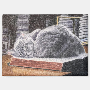 Katze im Buchladen Magnet