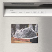 Katze im Buchladen Magnet (In Situ (Geschirrspüler))