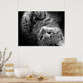 Katze im Dunkeln Poster (Küche)
