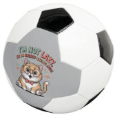 Katze im Energiesparmodus Fußball (Dreiviertel)