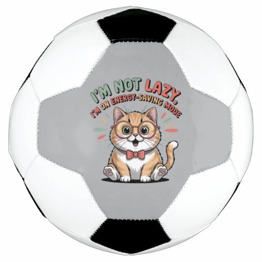 Katze im Energiesparmodus Fußball (Vorderseite)
