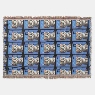 KATZE IM FENSTER DECKE