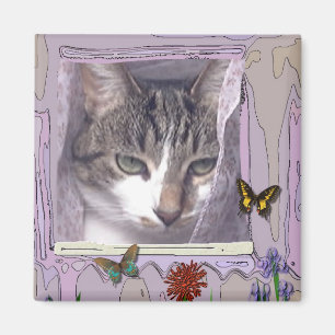 Katze im Fenster Magnet