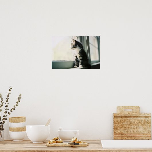 Katze im Fenster Poster (Küche)