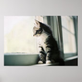 Katze im Fenster Poster (Vorne)