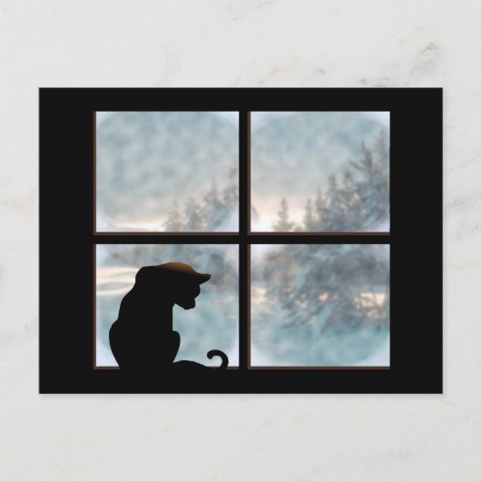 Katze im Fenster Postkarte (Vorderseite)