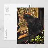 Katze im Fenster Postkarte (Vorne/Hinten)
