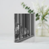 Katze im Fenster Postkarte (Stehend Vorderseite)
