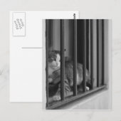 Katze im Fenster Postkarte (Vorne/Hinten)