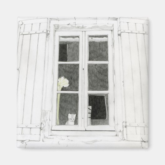 Katze im Fenstermagnet Magnet (Vorne)