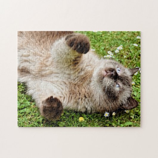 Katze im Garden Puzzle (Horizontal)