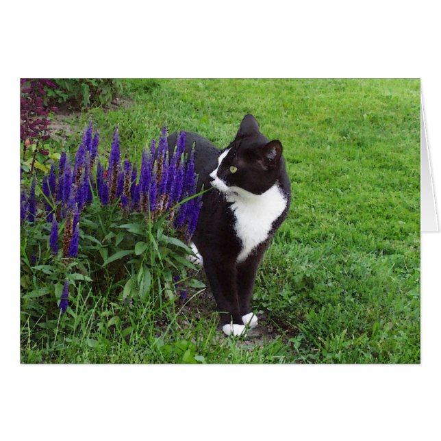 Katze im Garten (Vorderseite (Horizontal))