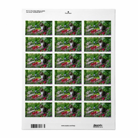 Katze im Garten Adressaufkleber (Vorne)