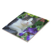 Katze im Garten Fliese (Seite)