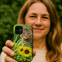 Katze im Garten mit Sonnenblumen