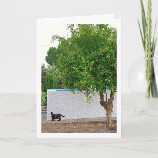 Katze im Gartenportrait Karte (Vorderseite)