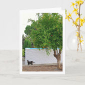 Katze im Gartenportrait Karte (Gelbe Blume)