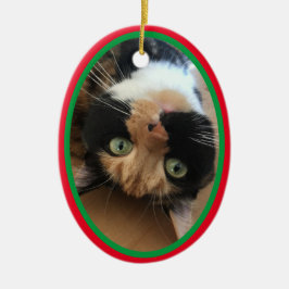 Katze im Gedächtnis Weihnachtsfeiertag rot Grün Keramik Ornament