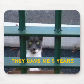 Katze im Gefängnis Mousepad