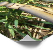 Katze im Gras drucken Poster (Ecke)