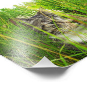 Katze im Gras-Foto Fotodruck (Ecke)