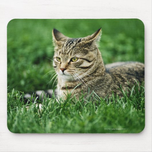 Katze im Gras liegen Mousepad (Vorne)