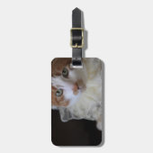 Katze im Halsband Gepäckanhänger (Vorderseite vertikal)