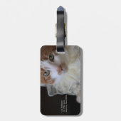 Katze im Halsband Gepäckanhänger (Rückseite vertikal)