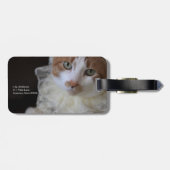 Katze im Halsband Gepäckanhänger (Rückseite horizontal)