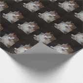 Katze im Halsband Geschenkpapier (Ecke)