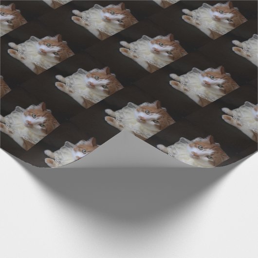 Katze im Halsband Geschenkpapier (Ecke)