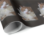 Katze im Halsband Geschenkpapier (Rolleneckpunkt)