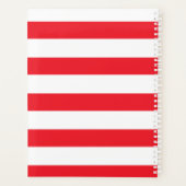 Katze im Hut | Aufblähen mit einem Fisch Planer (Rückseite)