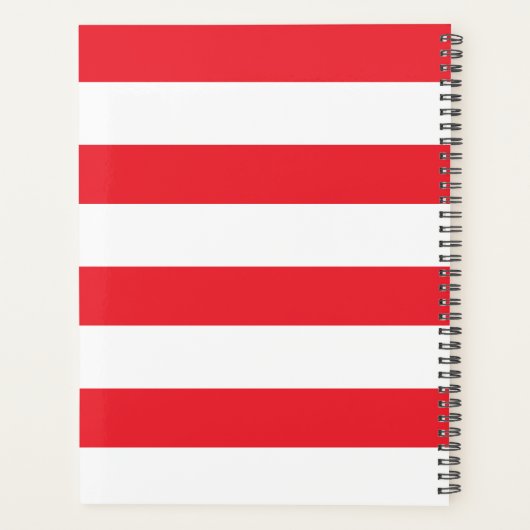 Katze im Hut | Das ist Planer (Rückseite)