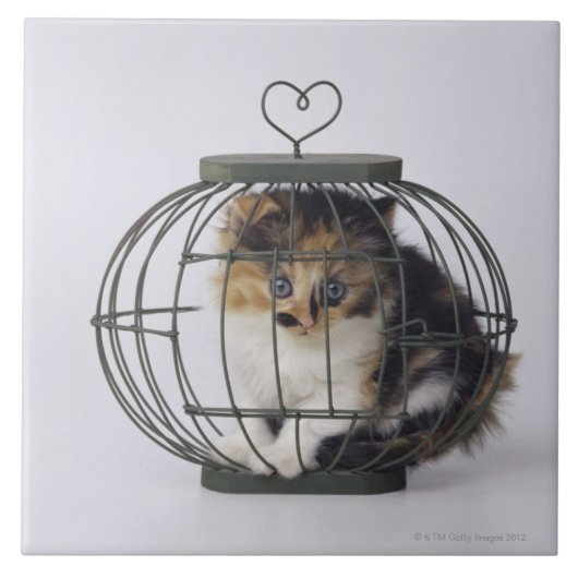 Katze im Käfig Fliese (Vorderseite)