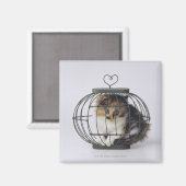 Katze im Käfig Magnet (Vorderseite/Rückseite)