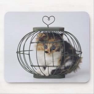 Katze im Käfig Mousepad