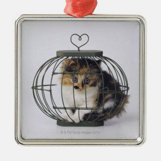 Katze im Käfig Ornament Aus Metall