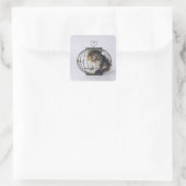 Katze im Käfig Quadratischer Aufkleber (Tasche)