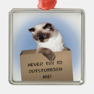 Katze im Kasten Silbernes Ornament