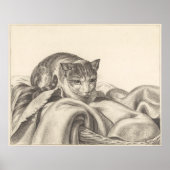 Katze im Korb 1802 Poster (Vorne)