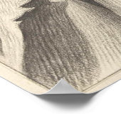 Katze im Korb 1802 Poster (Ecke)