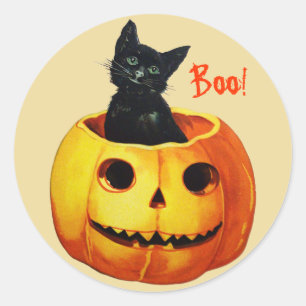 Katze im Kürbis Vintage-Halloween-Aufkleber Runder Aufkleber