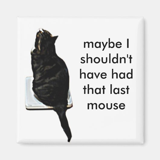 Katze im Maßstab Magnet (Vorne)