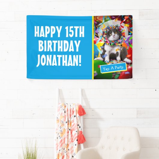 Katze im Party Banner (Insitu)