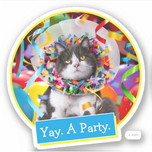Katze im Party Cone Aufkleber (Vorderseite)