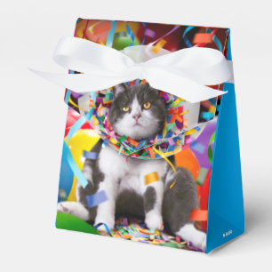 Katze im Party Cone Geschenkschachtel