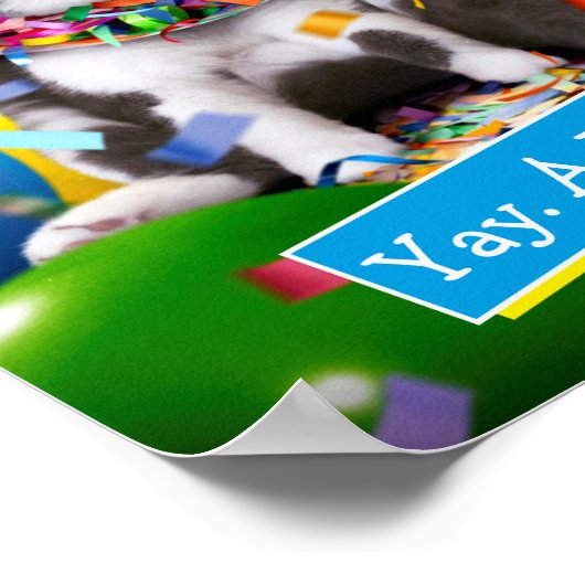 Katze im Party Cone Poster (Ecke)