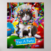 Katze im Party Cone Poster (Vorne)