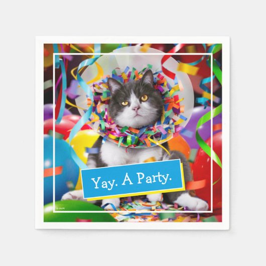 Katze im Party Cone Serviette (Vorderseite)